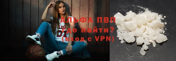 гашик Абаза