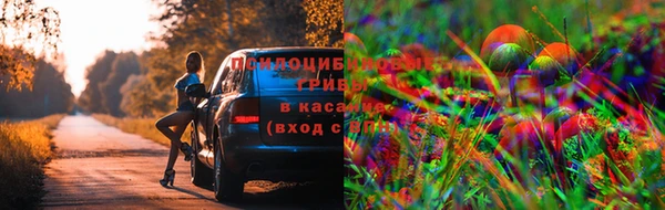 прущие крисы Абинск