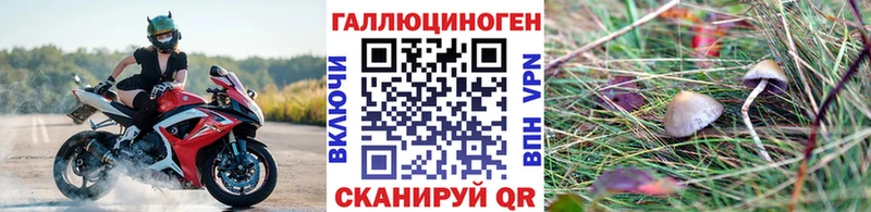сколько стоит  Туринск  kraken рабочий сайт  Галлюциногенные грибы прущие грибы 